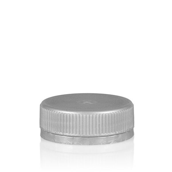 Guarantee Cap Silver PP 2 start